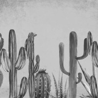 Papier Peint Panoramique Cactus Noir et Blanc