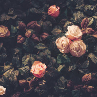 Papier Peint Panoramique Fleurs Vintage