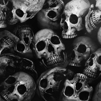 Papier Peint Panoramique Tête de Mort Skull 2