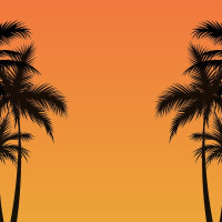 Papier Peint Panoramique Palmier Ombre 2