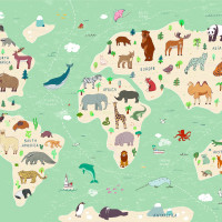 Papier Peint Panoramique Mappemonde Enfant