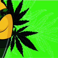 Papier Peint Panoramique Femme Sexy Weed