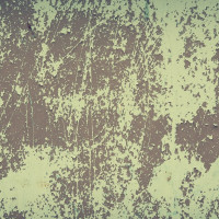 Papier peint Panoramique Peinture Ecaillée