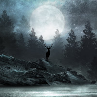 Papier Peint Panoramique Cerf Fôret