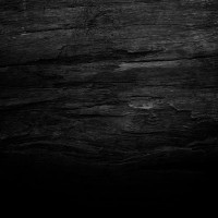 Papier peint Panoramique Bois Noir