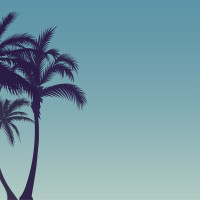 Papier Peint Panoramique Palmier Ombre