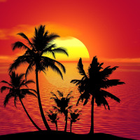 Papier Peint Panoramique Plage Palmiers 2