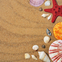 Papier Peint Panoramique Plage Étoile de Mer