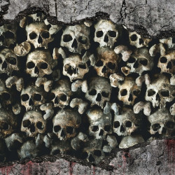 Papier Peint Panoramique Mur de Cranes Papier Peint Panoramique Mur de Cranes