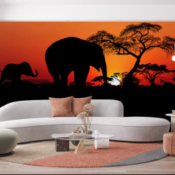 Papier Peint Panoramique Savane Couché de Soleil Elephant