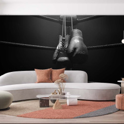 Papier Peint Panoramique Boxe Gants Vintage
