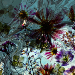 Papier Peint Panoramique Fleurs Séchées Papier Peint Panoramique Fleurs Séchées