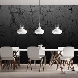 Papier peint Panoramique Craquelures