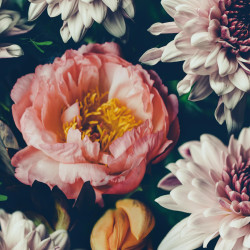 Papier Peint Panoramique Fleurs Vintage 2 Papier Peint Panoramique Fleurs Vintage 2