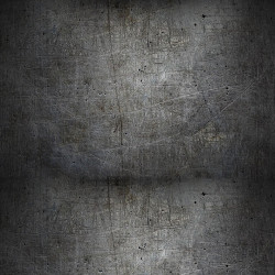 Papier peint Panoramique Metal Griffé