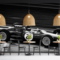 Papier Peint Panoramique Vintage Lotus