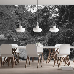 Papier Peint Panoramique Jungle Photo Noir et Blanc