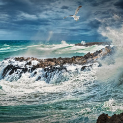 Papier Peint Panoramique Vagues Océan