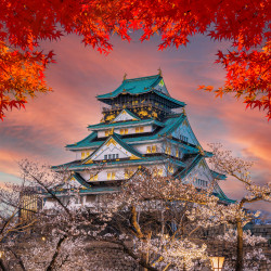 Papier Peint Panoramique Temple Japonais