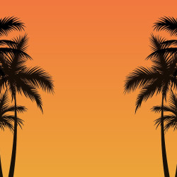 Papier Peint Panoramique Palmier Ombre 2 Papier Peint Panoramique Palmier Ombre 2