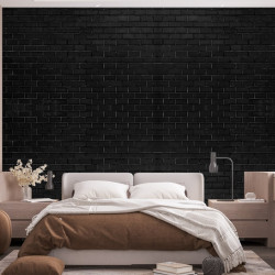 Papier Peint Panoramique Mur Beton Noir