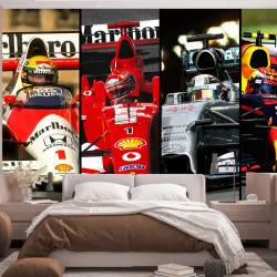 Papier Peint Panoramique F1 Champion