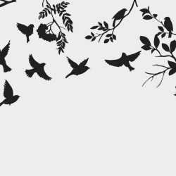 Papier Peint Panoramique Oiseaux