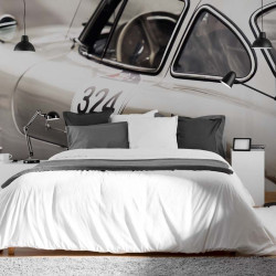 Papier Peint Panoramique Mercedes Vintage