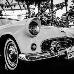 Papier Peint Panoramique Chevrolet Corvette