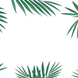 Papier Peint Panoramique Feuilles Palmier Papier Peint Panoramique Feuilles Palmier