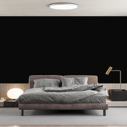 Papier Peint Panoramique Fond Noir