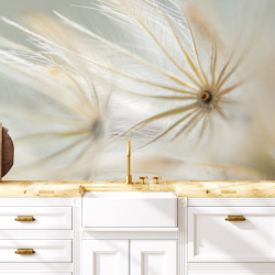 Papier Peint Panoramique Fleurs Séchées 2