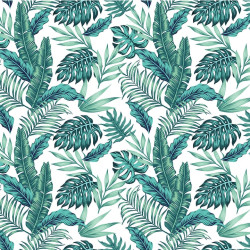 Papier Peint Panoramique Feuilles Tropical Papier Peint Panoramique Feuilles Tropical