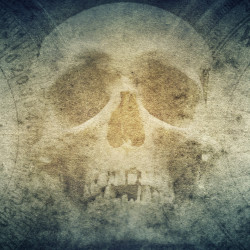 Papier Peint Panoramique Tête de mort boussole Papier Peint Panoramique Tête de mort boussole