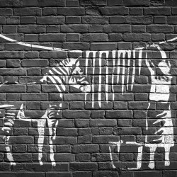 Papier Peint Panoramique Banksy - Zèbre Washing Papier Peint Panoramique Banksy - Zèbre Washing