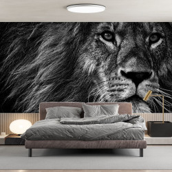 Papier Peint Panoramique Lion Nature