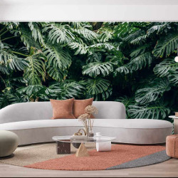 Papier Peint Panoramique Jungle Feuilles Monstera