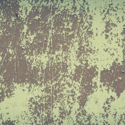 Papier peint Panoramique Peinture Ecaillée