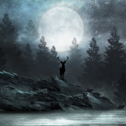 Papier Peint Panoramique Cerf Fôret Papier Peint Panoramique Cerf Fôret