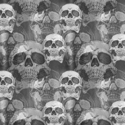 Papier Peint Panoramique Crane Skull Pattern Papier Peint Panoramique Crane Skull Pattern