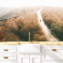Papier peint Panoramique Route Forêt
