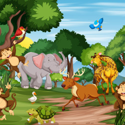 Papier Peint Panoramique Animaux Paysage Papier Peint Panoramique Animaux Paysage