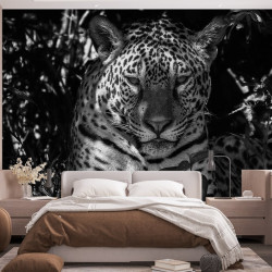 Papier Peint Panoramique Leopard