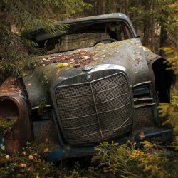 Papier peint Panoramique Epave Voiture Foret