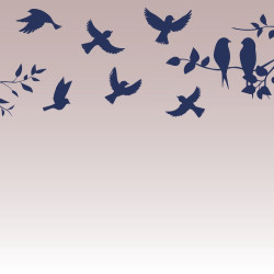 Papier Peint Panoramique Oiseaux 2 Papier Peint Panoramique Oiseaux 2