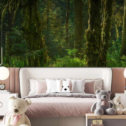 Papier Peint Panoramique Jungle Feuilles