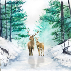 Papier Peint Panoramique Animaux Forêt 2 Papier Peint Panoramique Animaux Forêt 2