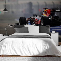 Papier Peint Panoramique F1 Racing