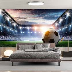 Papier Peint Panoramique Football 2