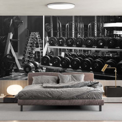 Papier Peint Panoramique Musculation Gym